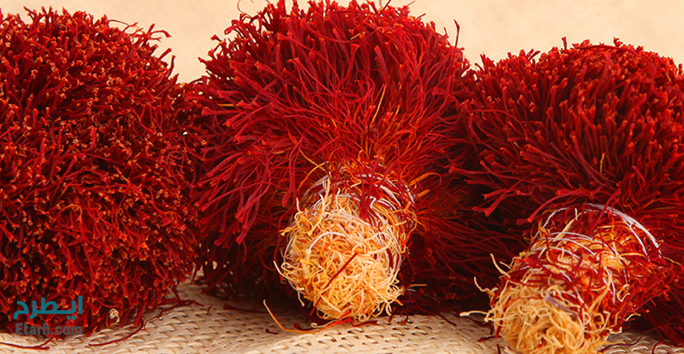 طرح تولید پودر زعفران