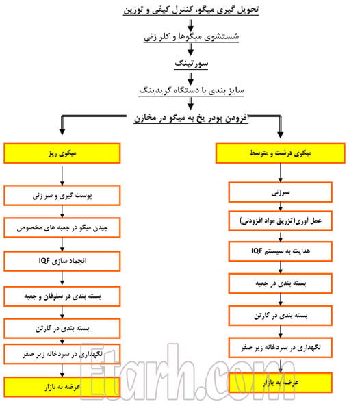 فرآیند تولید و تجهیزات فرآوری گوشت آبزیان (فیش برگر ، خمیر ماهی، میگو برگر)
