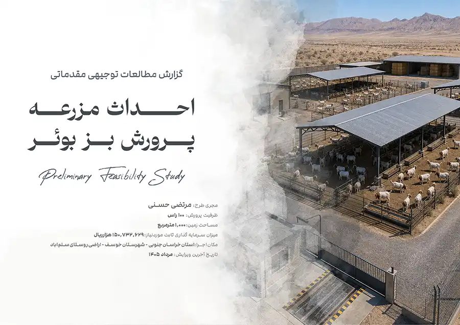 بز بوئر