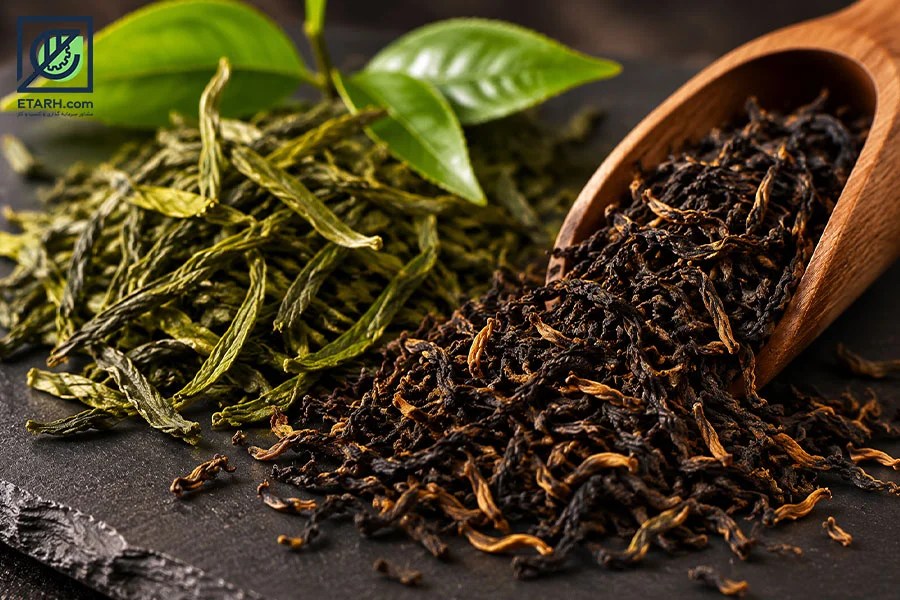 طرح تولید چای صنعتی.