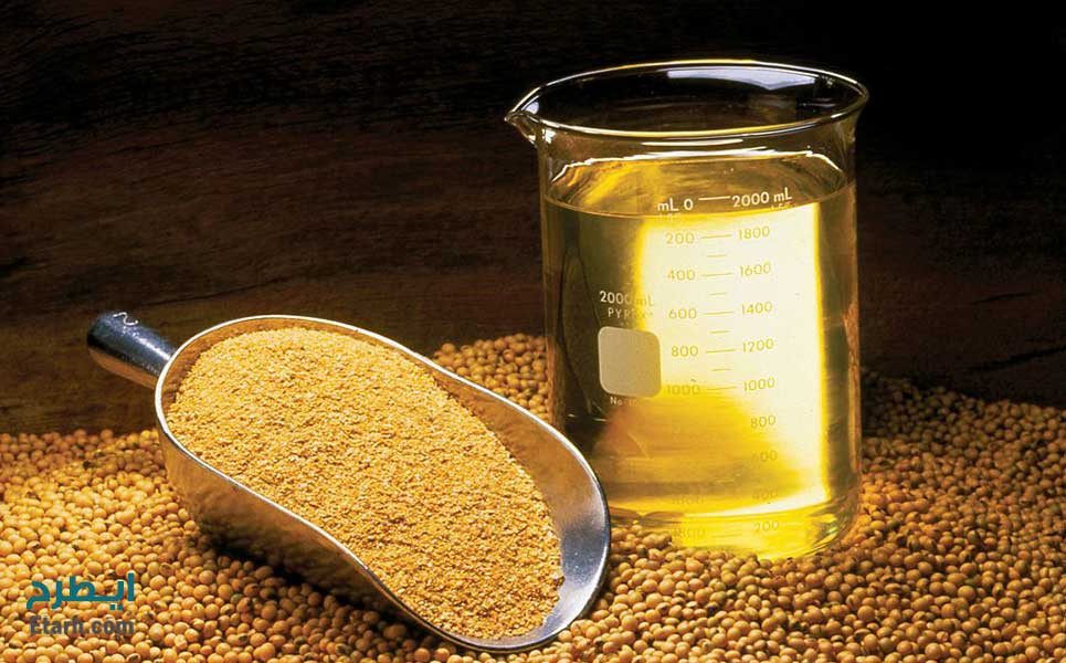 طرح کشت و تولید دانه روغنی کلزا