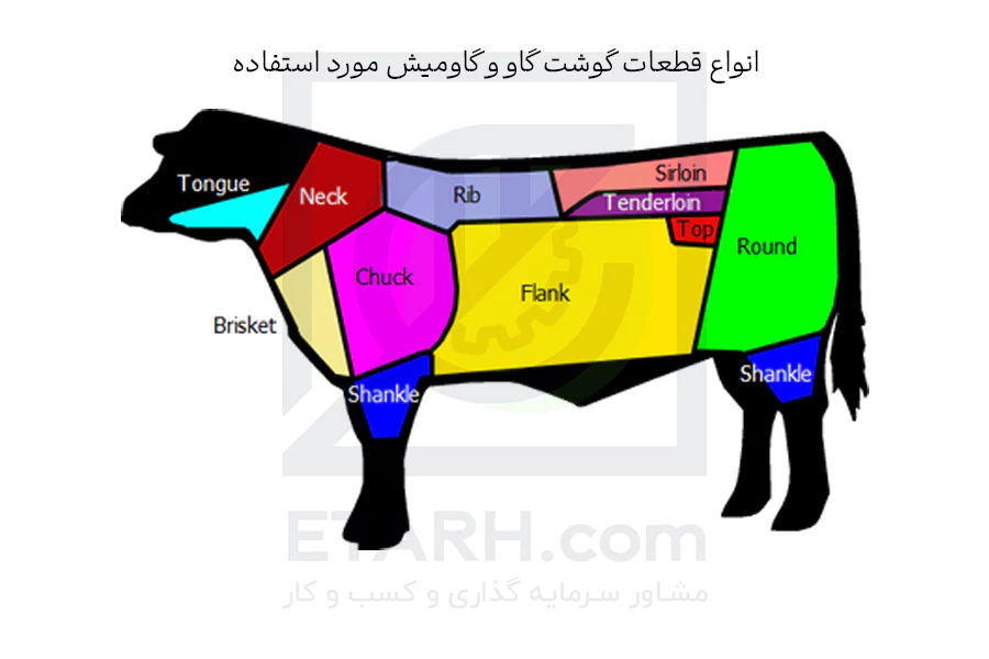 انواع-قطعات-گوشت-گاو-و-گاومیش-مورد-استفاده--etarh