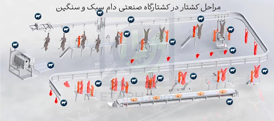 مراحل-کشتار-در-کشتارگاه-صنعتی-دام-سبک-و-سنگین--etarh