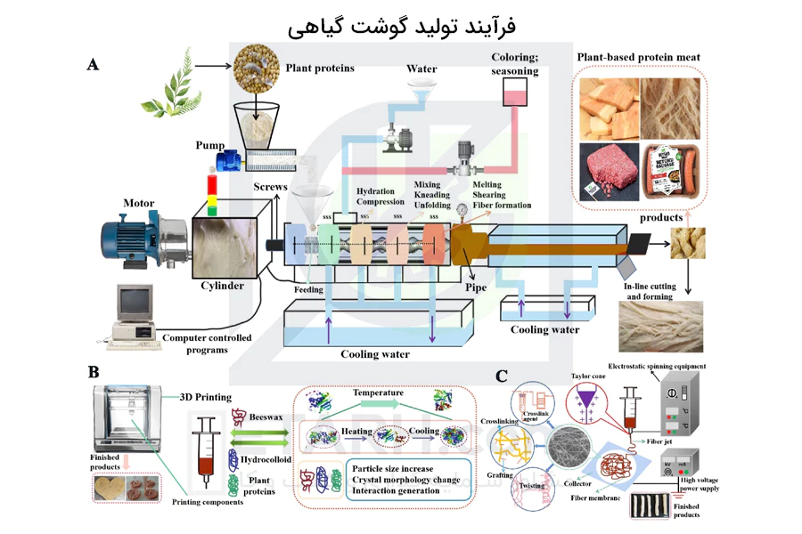 فرآیند-تولید-گوشت-گیاهی----etarh