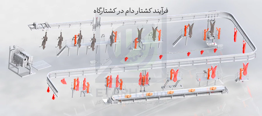 فرآیند-کشتار-دام-در-کشتارگاه---etarh