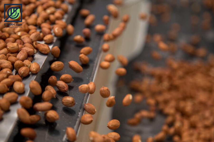 طرح تولید تخمه و آجیل طعم دار