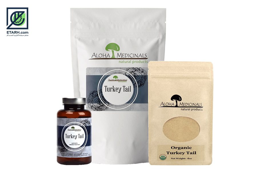 طرح پرورش قارچ ترکی تیل