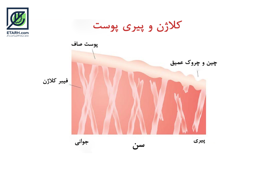 طرح تولید کلاژن خوراکی