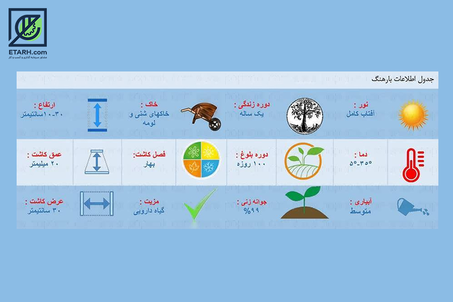 بارهنگ