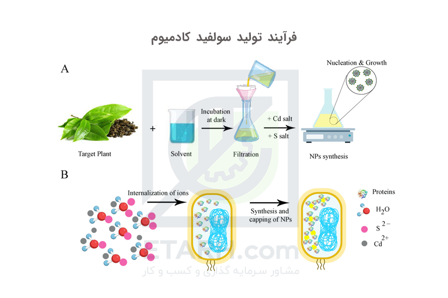 فرآیند تولید سولفید کادمیوم
