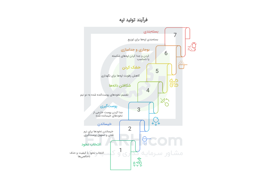 فرآیند تولید لپه