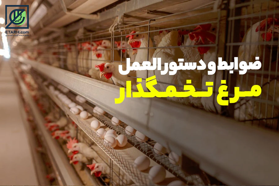 ضوابط-و-دستور-العمل-مرغ-تخمگذار