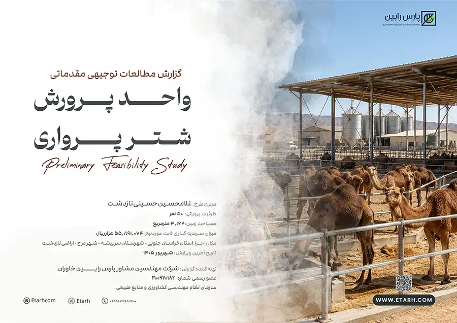 پرورش شتر پرواری